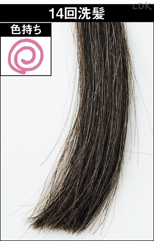 14回洗髪 白髪染めヘアカラーおすすめ イメージ