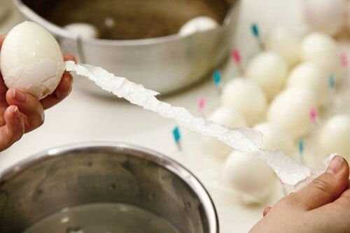 5つのルールを必ず守れば殻むきは失敗しません！ イメージ