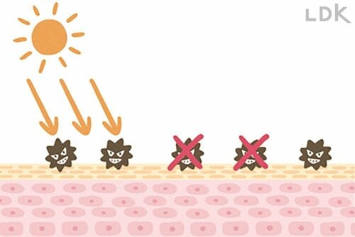 メリット1:アスタキサンチンが摂取できる 安い鮭フレークおすすめ イメージ