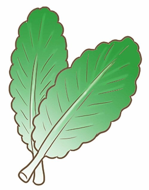 ケール 青汁おすすめ イメージ