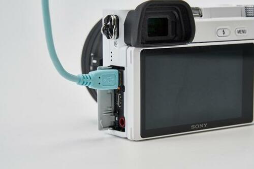 オートフォーカスの素早さは一級品! ソニー「α6100」 イメージ2