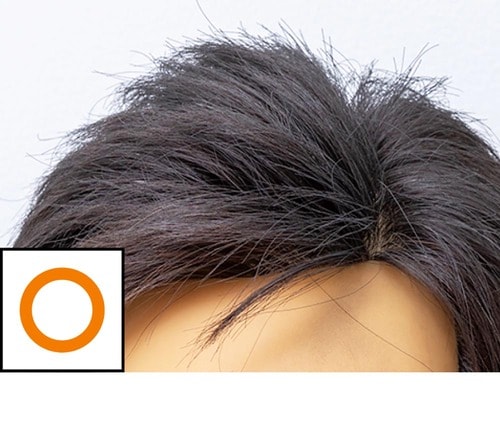 仕上がり 増毛スプレーおすすめ イメージ