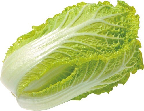 ▼白菜の冷凍術