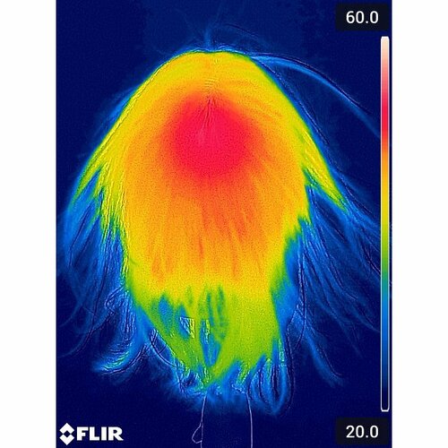 参考テスト1:熱分布 2万円以下で買えるドライヤーおすすめ イメージ