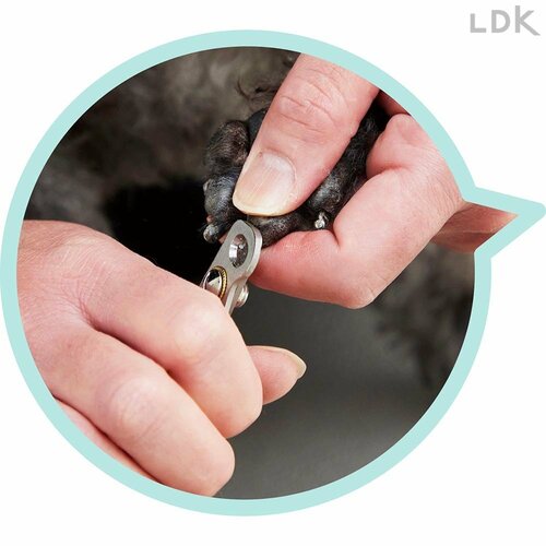 手首に負担が少ないカーブ刃 犬用爪切りおすすめ イメージ