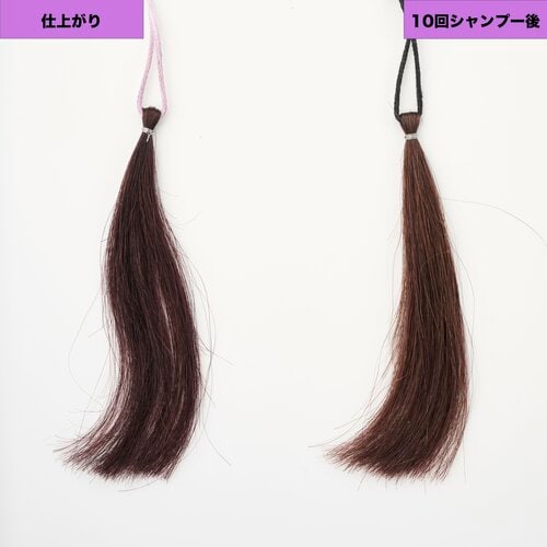 落ち着いた大人っぽい色に パープル（紫）のヘアカラーおすすめ イメージ