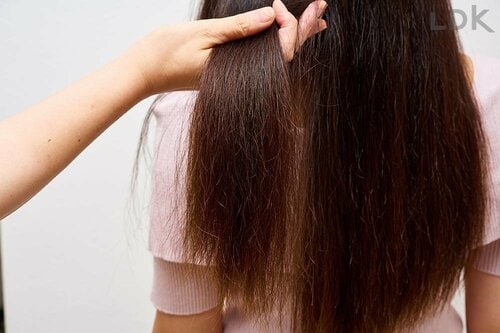 プチプラのシャンプーでも美髪を目指せる? プチプラシャンプーおすすめ イメージ