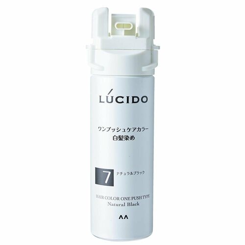白髪染めおすすめ ルシード ワンプッシュケアカラー ナチュラルブラック イメージ2