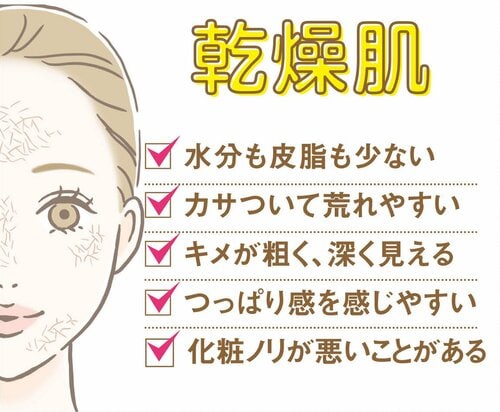 【乾燥肌】朝から晩までカサカサしちゃう 脂性肌を救い隊おすすめ イメージ