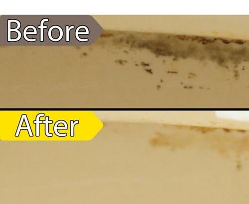 強力な洗浄力！ ユニリーバ・ジャパン「ドメスト除菌クリーナー」 イメージ2