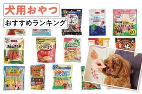 犬用おやつのおすすめランキング。ジャーキー、ペーストなどさまざまな人気商品を比較