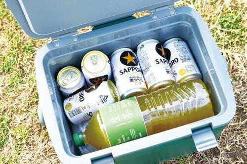 人が座ってもOK？ 椅子にもなるハードタイプの「スタンレー」 イメージ2