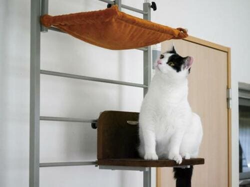 狭い部屋でも設置しやすい！ ボンビアルコン「キャットウォーク」 イメージ4