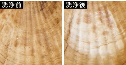 美白：黄ばみを落として元の色に ホワイトニング歯磨き粉おすすめ イメージ