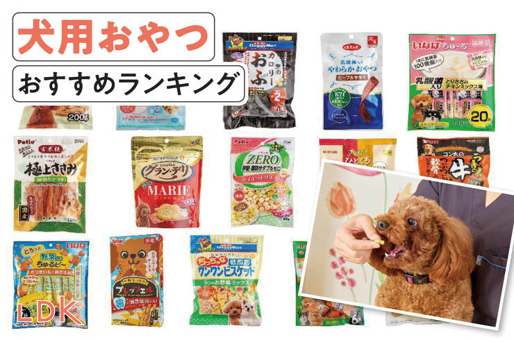 犬用おやつのおすすめランキング。ジャーキー、ペーストなどさまざまな人気商品を比較