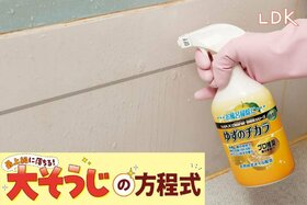 浴槽に残るザラザラ汚れがイヤ！「絶対落としたい」が叶うおすすめ洗剤は？【LDK大掃除】