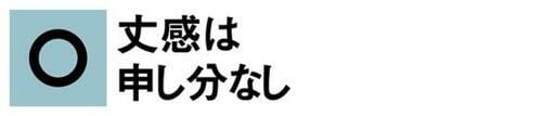 C評価: 【C評価】カジュアルすぎ!大人向きではありません