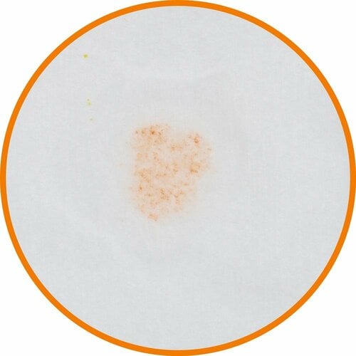 フィルター性能 大きいサイズのマスクおすすめ イメージ