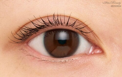 【ベストのワケ】キレイにセパレートしアイライン効果もゲット 2026年上半期ベストコスメ ポイントメイク編おすすめ イメージ