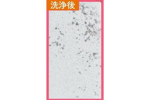 洗浄力:◎ プチプラ洗顔料おすすめ イメージ