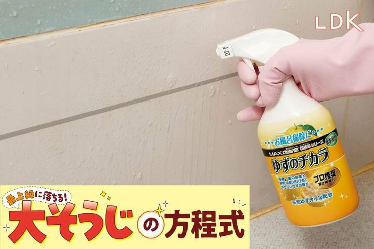 浴槽に残るザラザラ汚れがイヤ！「絶対落としたい」が叶うおすすめ洗剤は？【LDK大掃除】