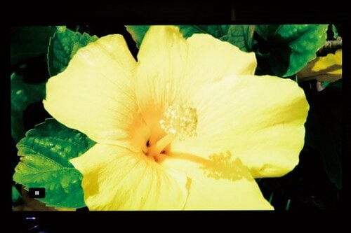 【画質】不自然に眩しくて色設定がメチャクチャです イメージ4