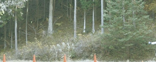 テスト結果 クマ撃退スプレーおすすめ イメージ