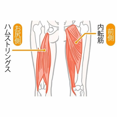 →股関節をやわらかくすれば血液やリンパの流れがよくなって、太ももズル痩せ ズボラストレッチおすすめ イメージ