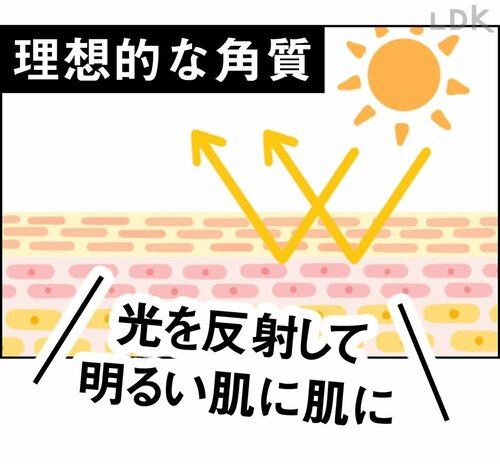 理想的な角質 プチプラコスメおすすめ イメージ