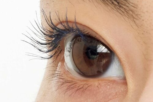 【推しPOINT】主張しすぎない絶妙カラー 白目がキレイに見える イメージ