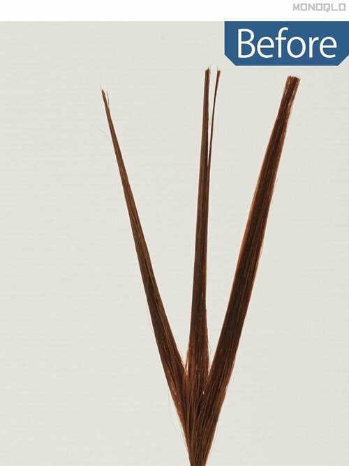 【耐湿性】ピ～ンと直立し、目立つ変化はなし グリースおすすめ イメージ