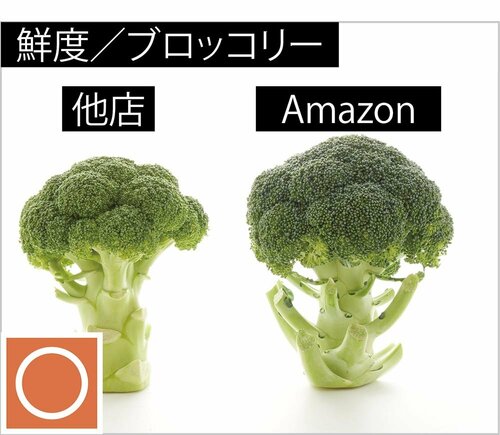 サイズは大きくお得感はあり イメージ2