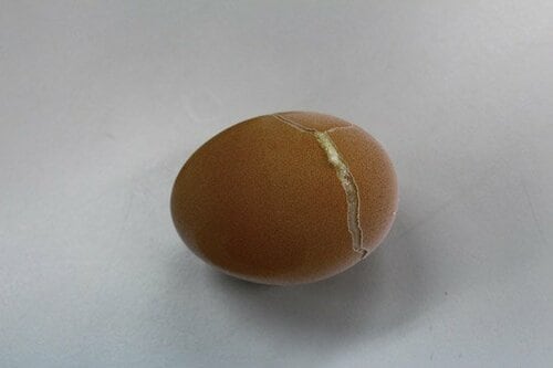 超濃厚卵にするその方法とは？丸ごとココに入れるだけ イメージ3