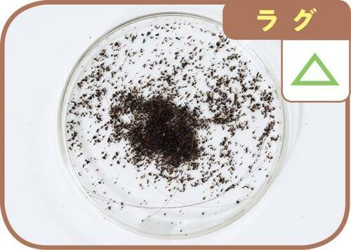 【C評価】髪の毛は吸えたけど大きなゴミは残ったikich イメージ2