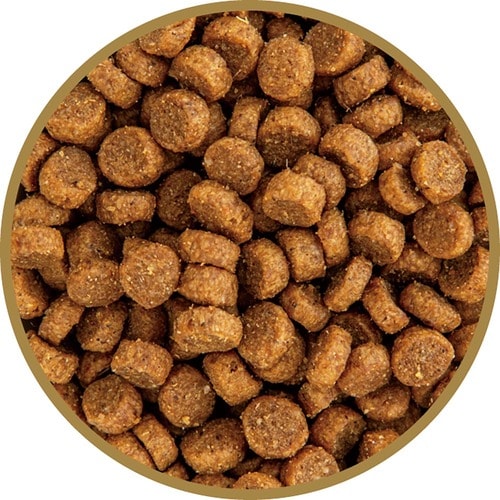 猫用ドライフードおすすめ グローバルペット ニュートリション サミット レンジロティサリー 全猫種 チキン+ターキー イメージ2