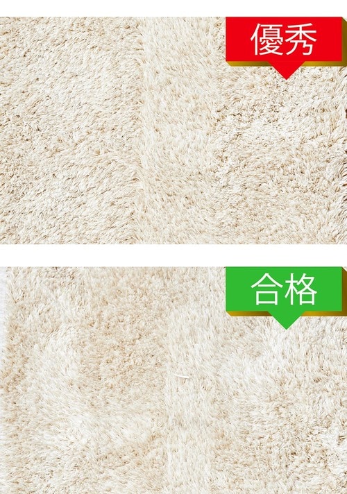 ▼じゅうたん+紙片/毛髪(画像上:情熱価格(ドンキPB)/画像下:シロカ) イメージ
