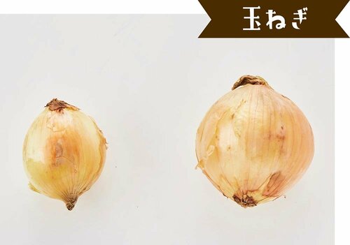 STEP4:サイズはまちまちでも状態はいいものばかり イメージ