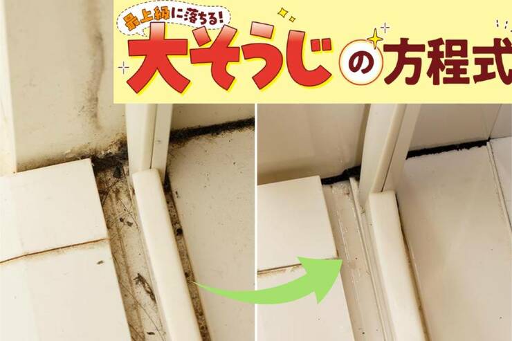 お風呂場のドアレール隅はホコリ&カビでいっぱい(汗)→正しい落とし方の工程は？【LDK大掃除】