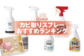 カビ取りスプレーのおすすめランキング。薬局などで買える人気商品をプロと比較
