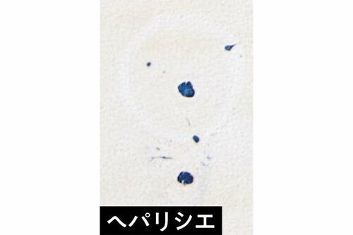 撥水性 2024年上半期ベスコスおすすめ イメージ