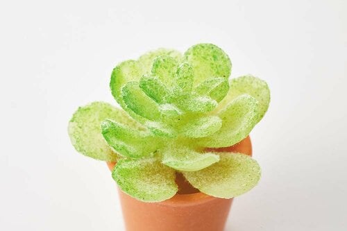 ポイント2:植物のリアルさも再現 ミニチュアシリーズおすすめ イメージ