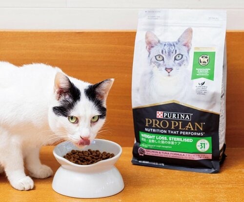 最先端の研究に基づいて開発! 猫用ドライフードおすすめ イメージ2