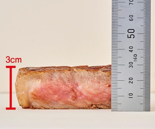 金賞のワケ：とても肉厚で満足感が超高い！ MONOQLO 2025ベストバイおすすめ イメージ