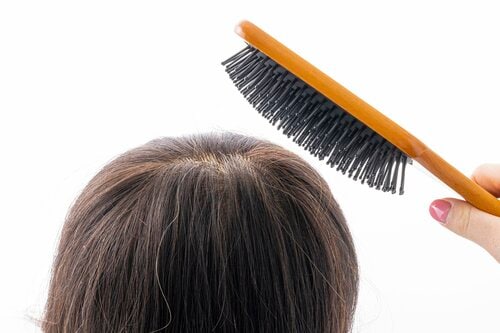 一度でたっぷりブラッシング ヘアブラシおすすめ イメージ