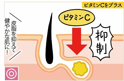 効果2:皮脂の分泌量を調整して詰まりにくくする ビタミンC美容液おすすめ イメージ2