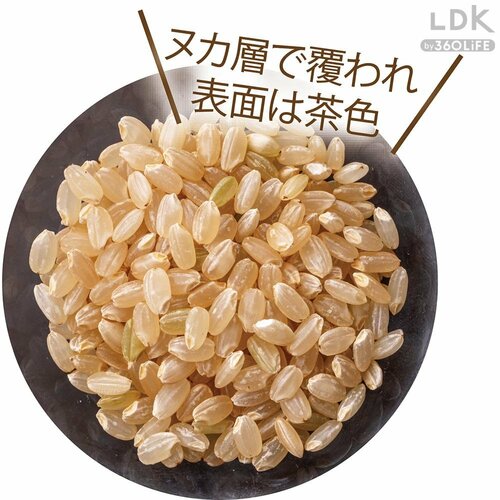 玄米 おいしいお米おすすめ イメージ