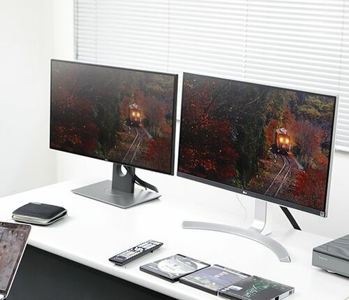 大橋伸太郎氏が厳しく画質チェック「LGはテレビ的、Dellはモニター的ですね」