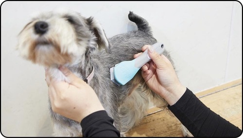 刃が2つあるけれど毛取り性能は普通 犬用ブラシおすすめ イメージ