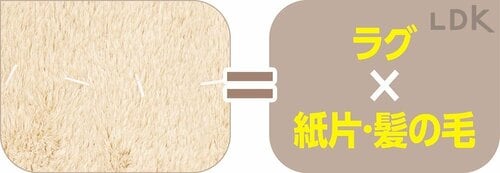 4：ラグ ✕ 紙片・髪の毛 コードレス掃除機おすすめ イメージ