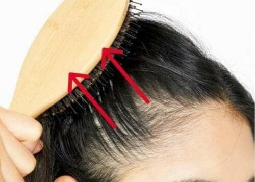 ブラッシングの方法は?